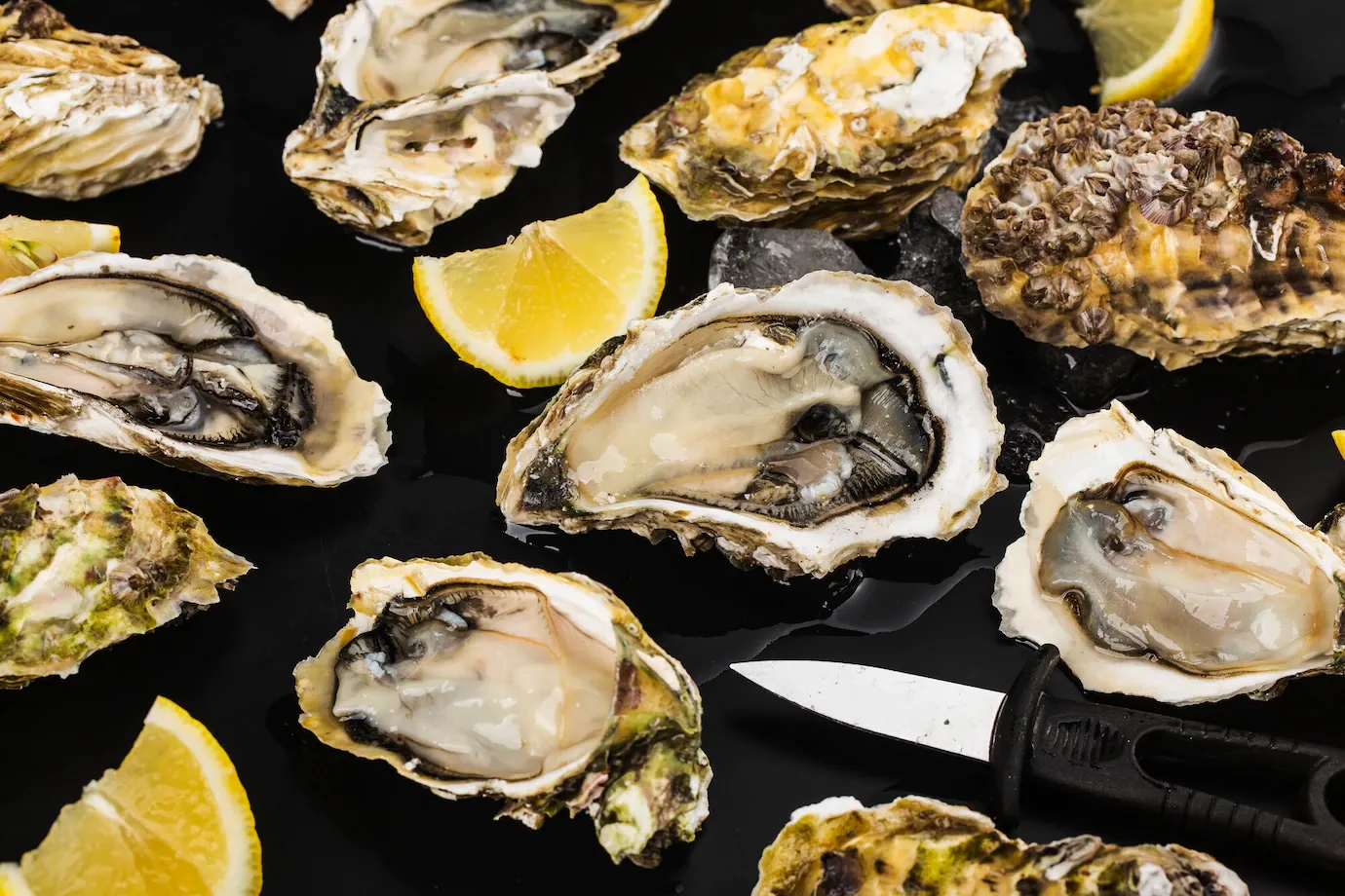 Best Oyster Knife 5 Options for Home Cooks Who Want to Shuck