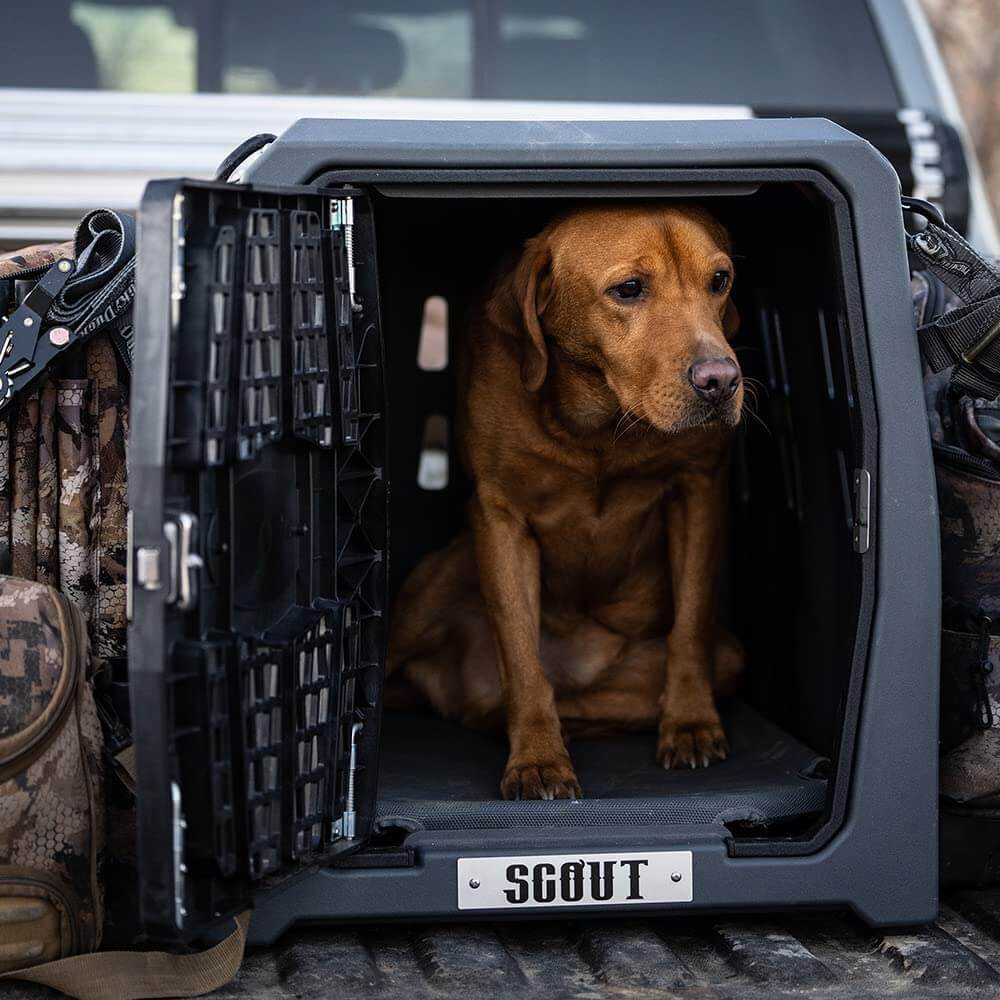 Best Dog Crate for Truck Bed Safe & Secure Pet Travel