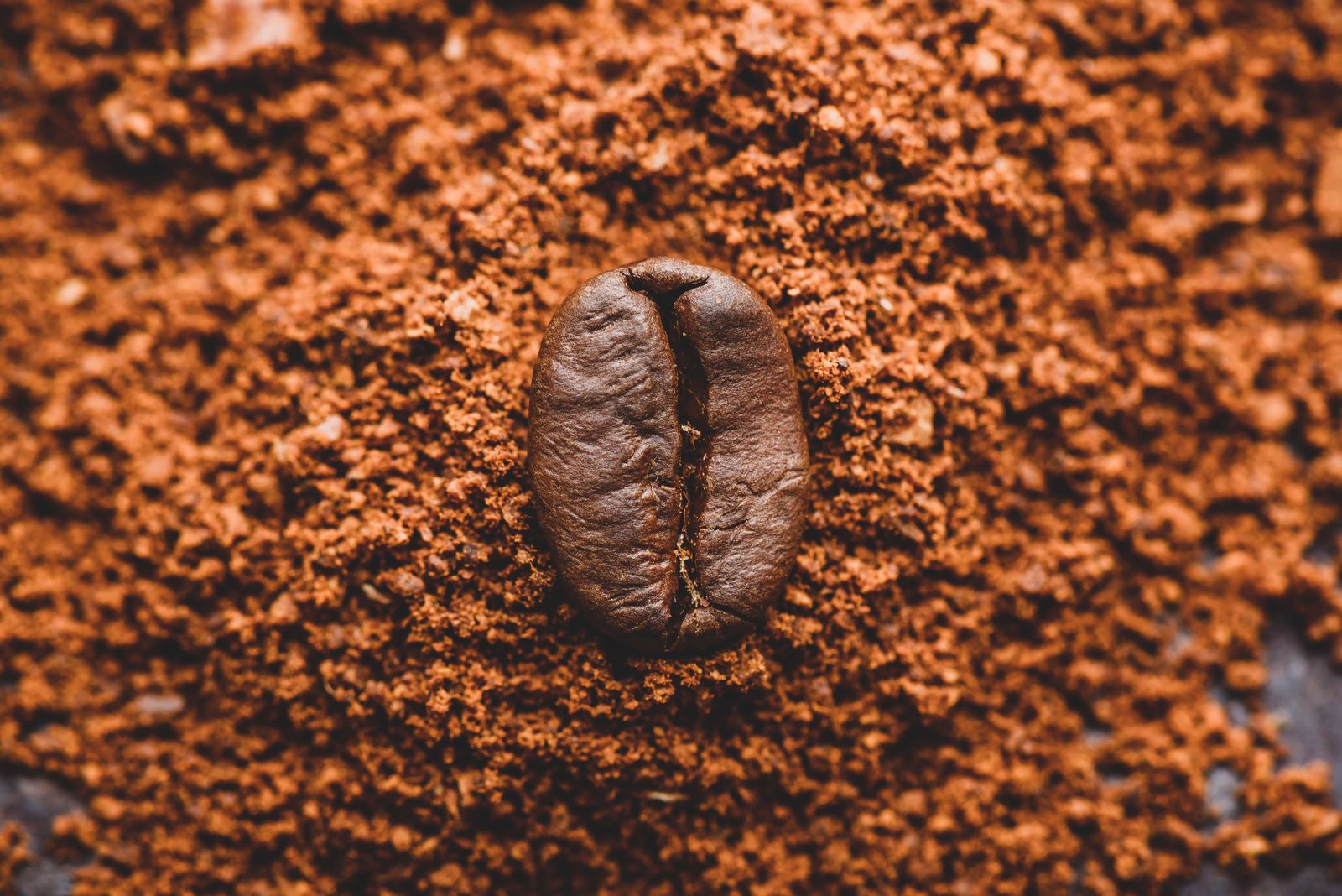 Manual vs. Electric Grinders: The Ultimate Coffee Choice