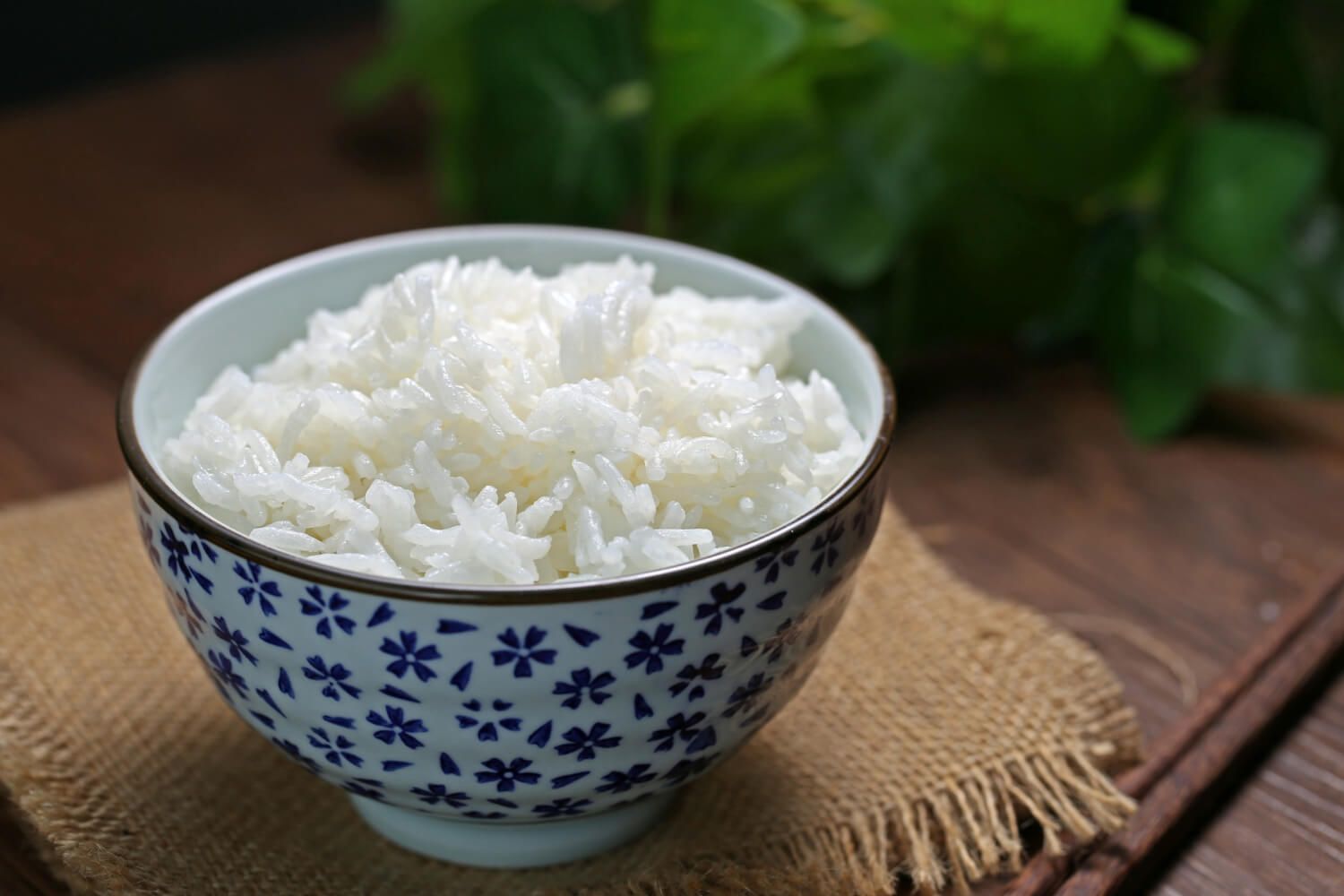 Methods for Rice Cooking: Pots to Match Each Technique