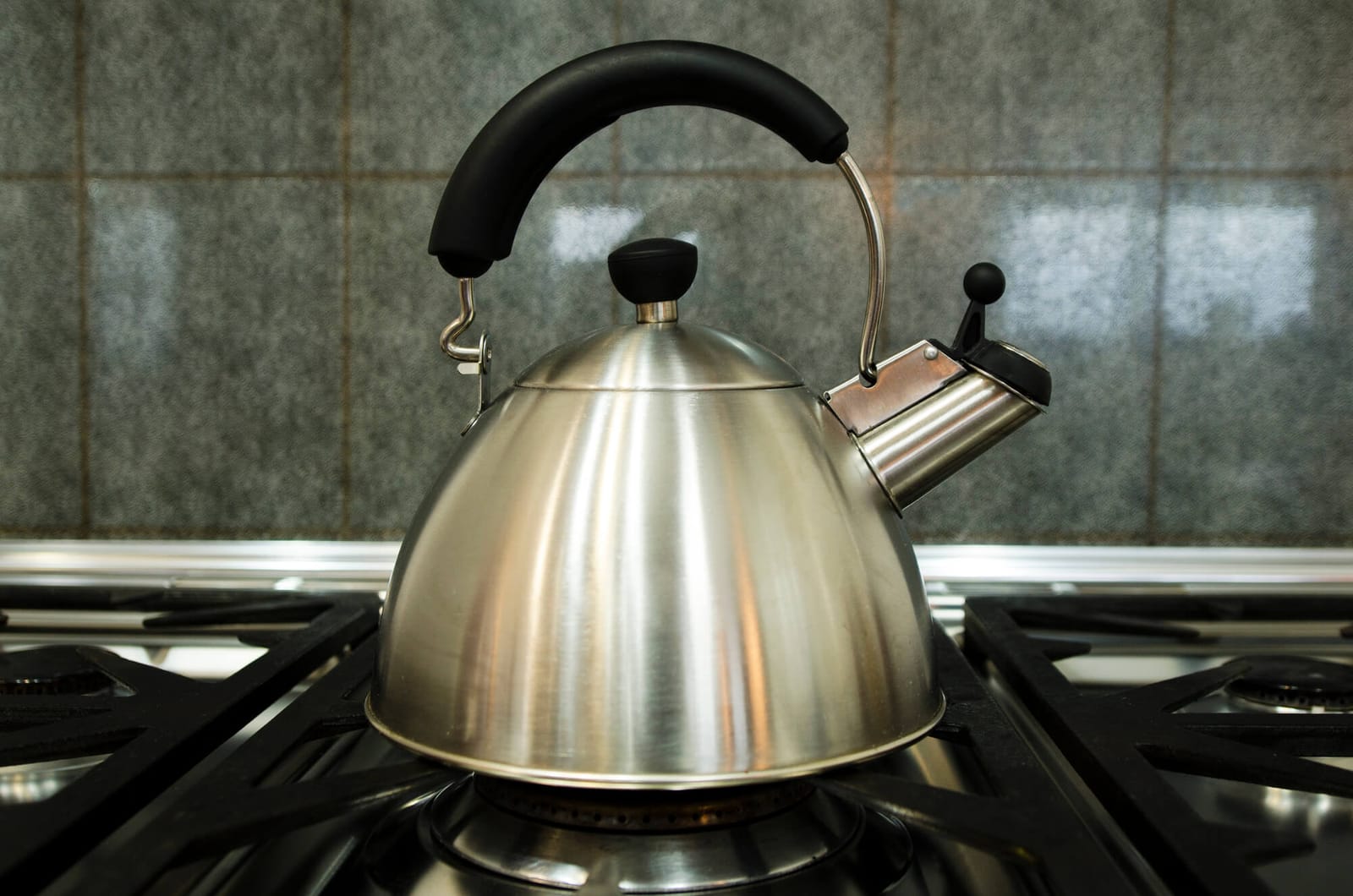 Best Stovetop Tea Kettle 7 Kettles For a Gas Stovetop Reviewed
