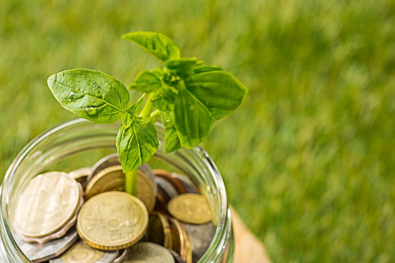 Cost Comparison: Eco-Friendly Cookware